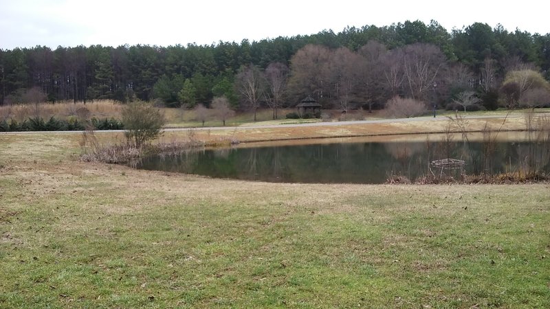 A pond and the entrance road near the Persimmon Trail.