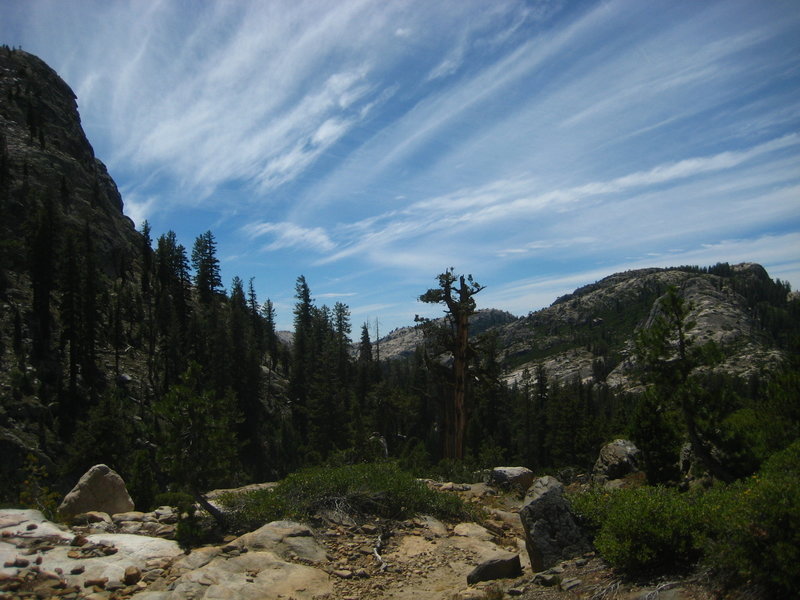 In between Piute and Gem Lake cut-off junctions on the Bell Meadow Trail.