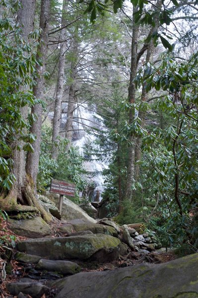 The final climb up to the waterfall on the Ramsay Cascade Trail.