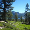 Just a few steps from the Shealor Lakes trailhead and parking area. Climbing higher, away up a ridge from Silver Lake.