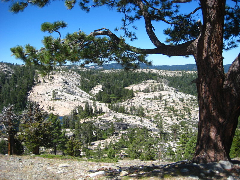 We reached the top of the ridge in under a half hour and the views were great! We could spot people already swimming through our binoculars not far from the Shealor Lakes Trail.