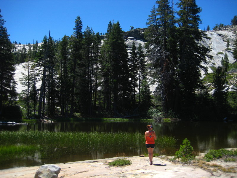 A beautiful though murky lake near the Shealor Lake Trail.