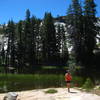 A beautiful though murky lake near the Shealor Lake Trail.