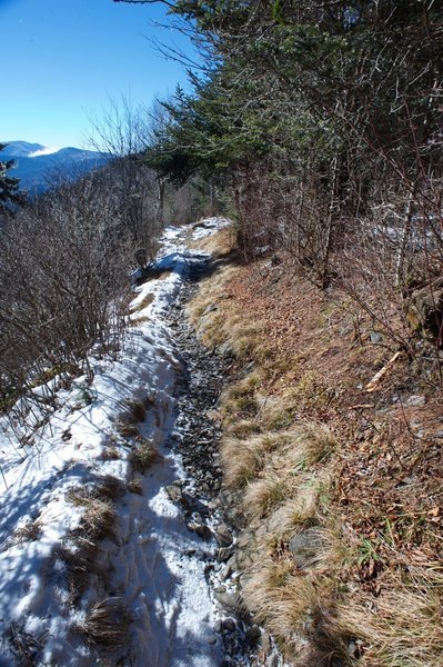 The Appalachian Trail is narrow in this section as it hugs the ridge on the North Carolina side before it crosses back over to the TN side.