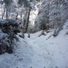 Walking along in the snow on a portion of the AT.