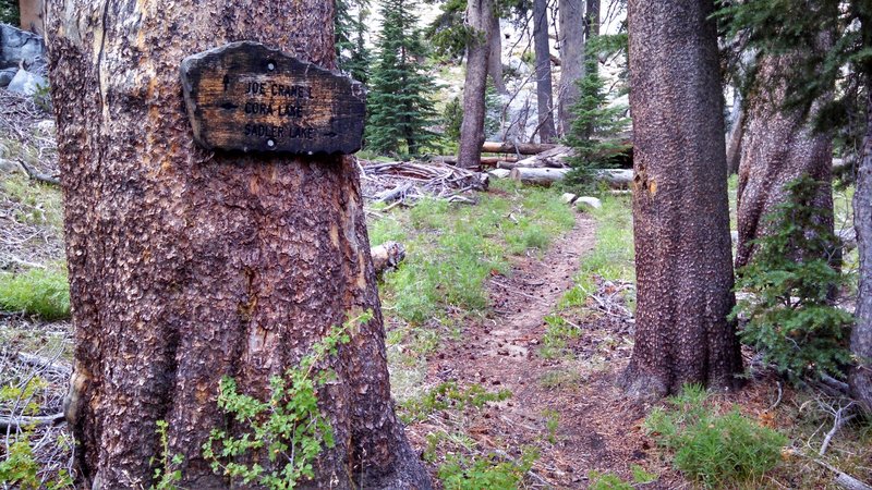 Junction of Joe Crane Lake Trail and Isberg Trail. Can be easy to miss as you head along the Isberg Trail so keep an eye out for it!