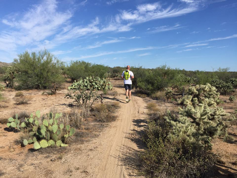 Smooth sailing through cactus on this low lying section of the path.