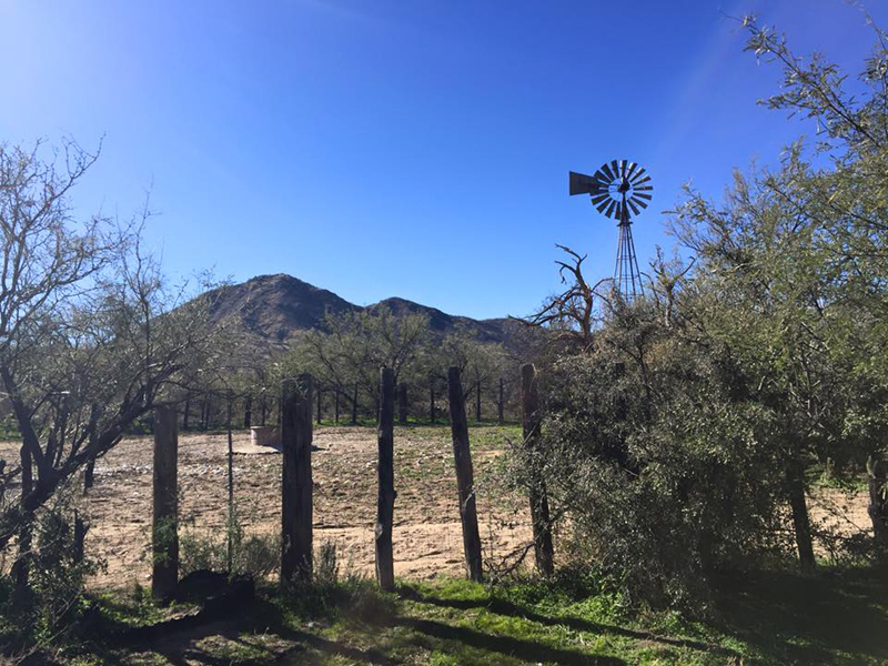 The old corral and windmill.