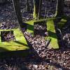 Moss covered cement blocks.