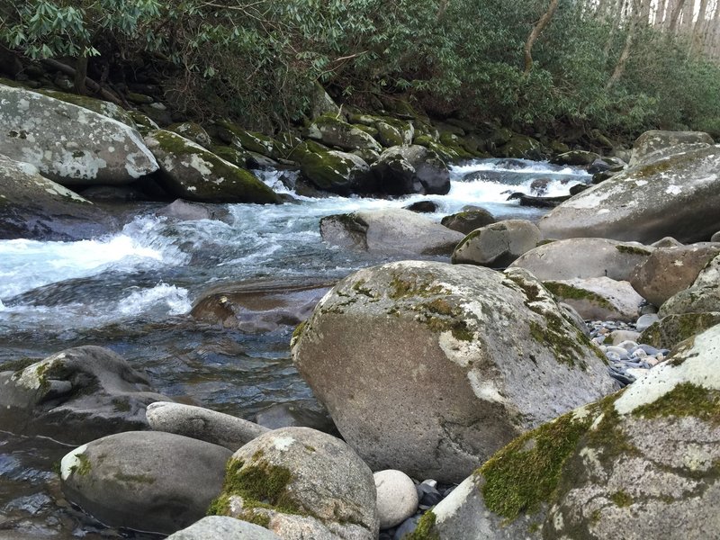 Porters Creek Trail in January.