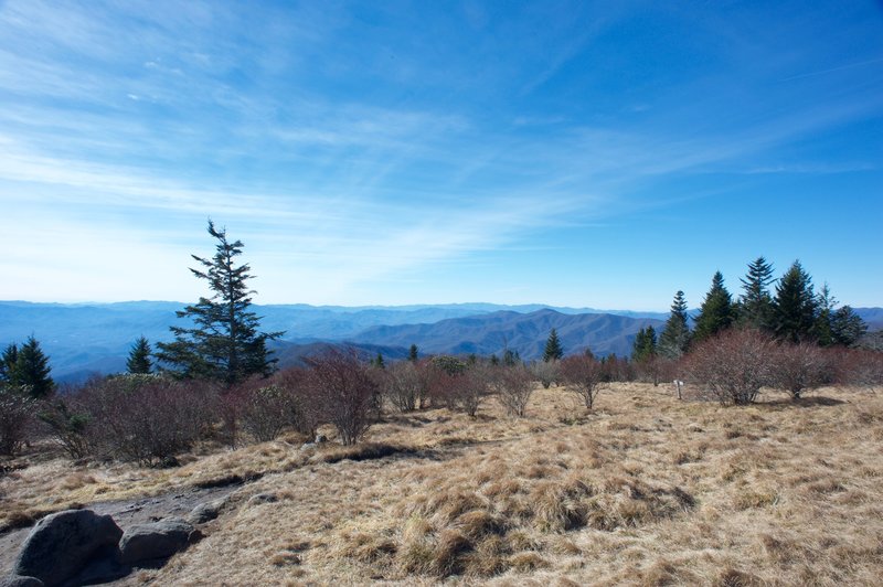 Andrews Bald and the views that it offers.