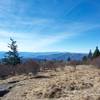 Andrews Bald and the views that it offers.