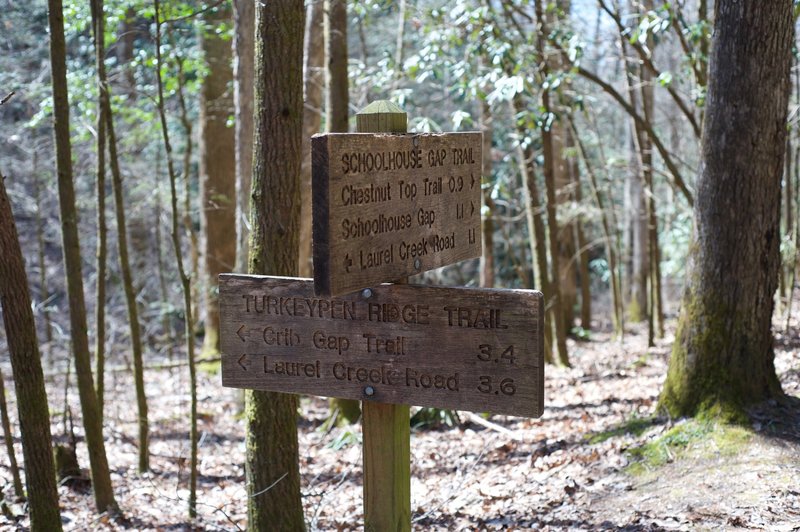 Turkeypen Ridge meets Schoolhouse Gap Trail at Dorsey Gap.