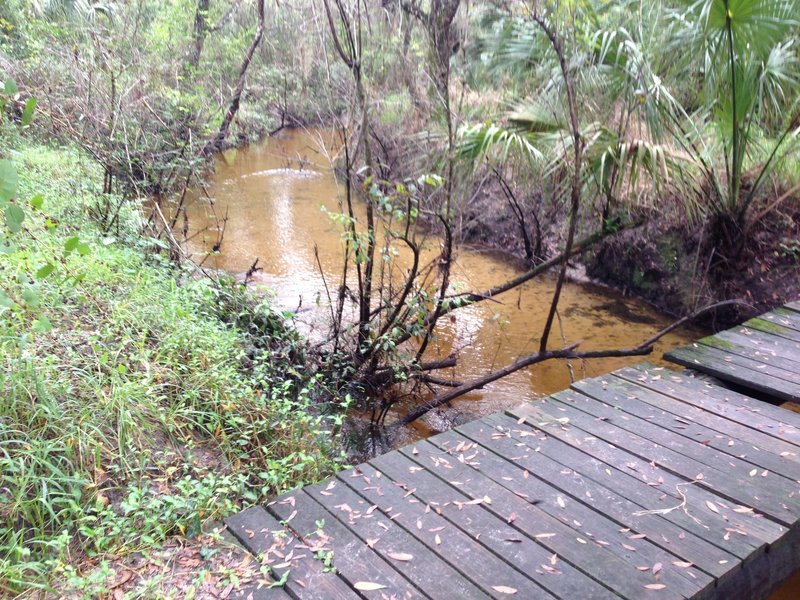 Bridge over Cypress Creek.