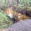 Bridge over Cypress Creek.