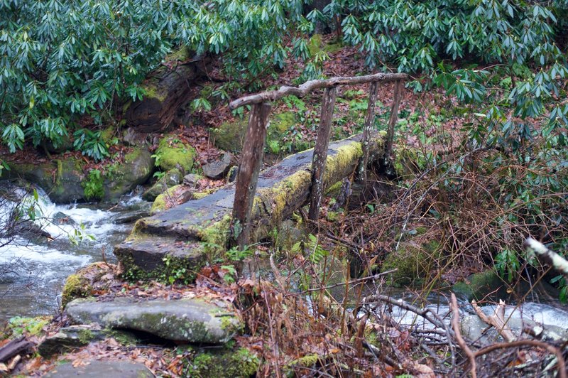 These log crossings can be slippery and mossy. Here, the footlog crosses the Left Prong.