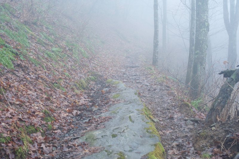 The trail is rocky and uneven as it climbs towards Russell Field Shelter.