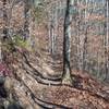 The trail narrows as the AT climbs from Russell Field to Spence Field.