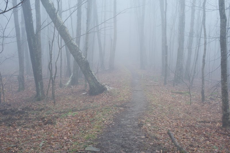 Trail in the clouds. While parts of the trail can be clear, others can be shrouded by fog, part of the reason the area is known as the Smokies.