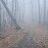 Trail in the clouds. While parts of the trail can be clear, others can be shrouded by fog, part of the reason the area is known as the Smokies.