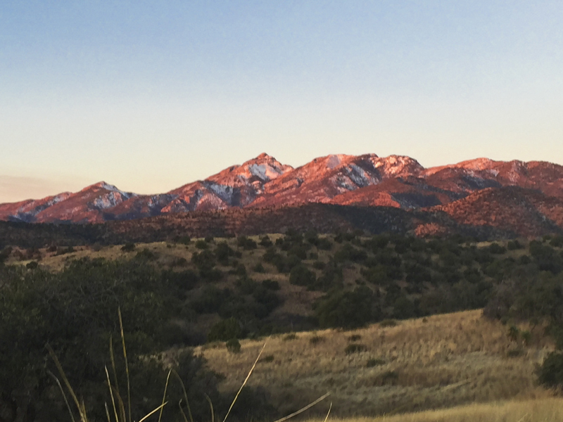 An inspiring view of Mt. Wrightson in the distance.