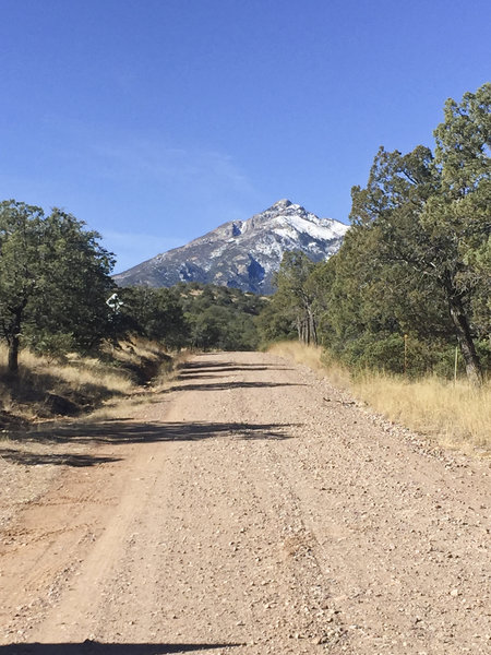 The view of Mt. Wrightson is perhaps the only good thing about the long slog up this road.