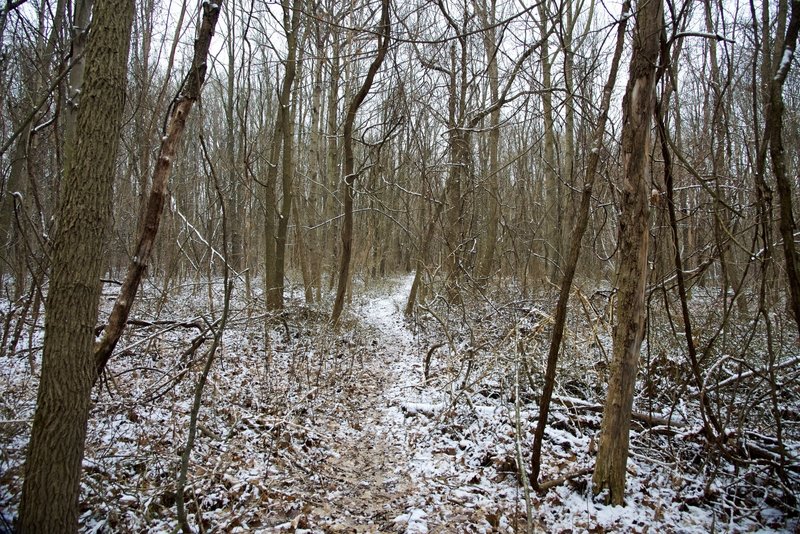 Light snow on the trail at the Zona Wildlife Sanctuary.