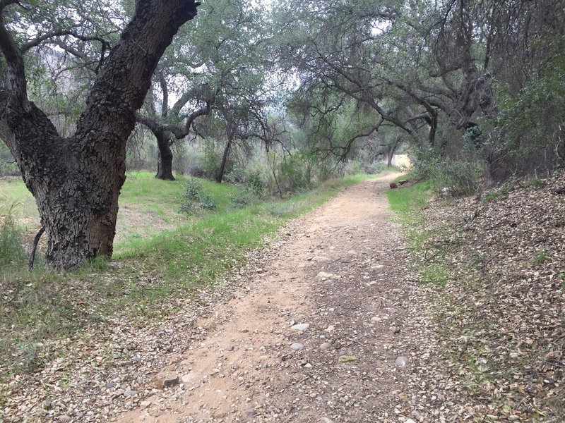 Bell Canyon Fire Road.