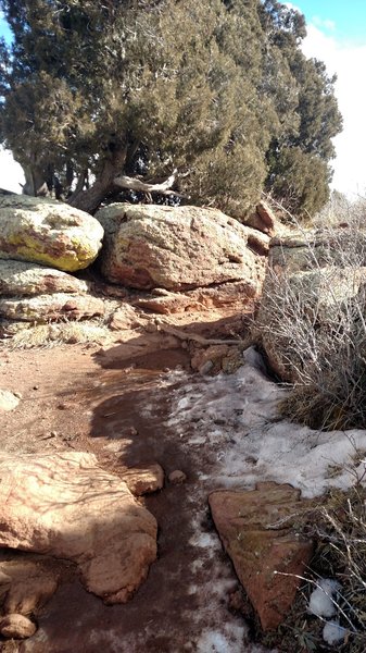 Looking up the trail in January. Mud, snow, and cool rock outcroppings.