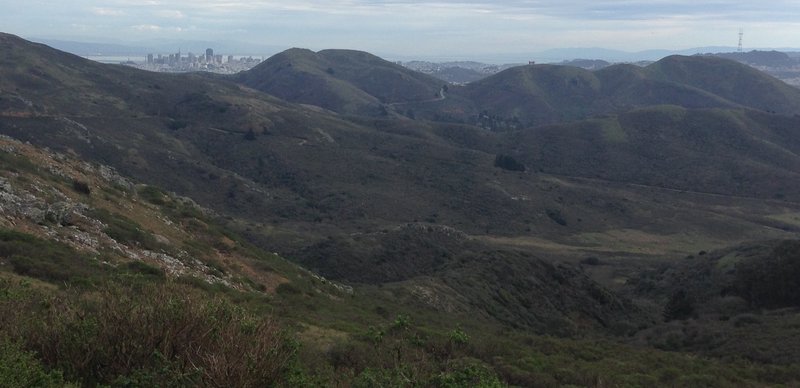 View south from the Miwok Trail.