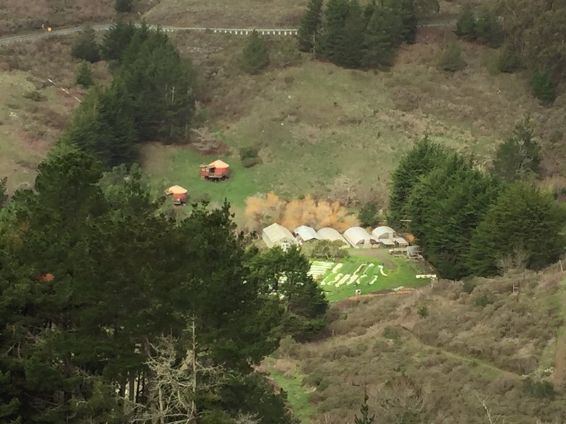 Looking at the yurts down on the Green Gulch Farm, a part of the Zen Center.