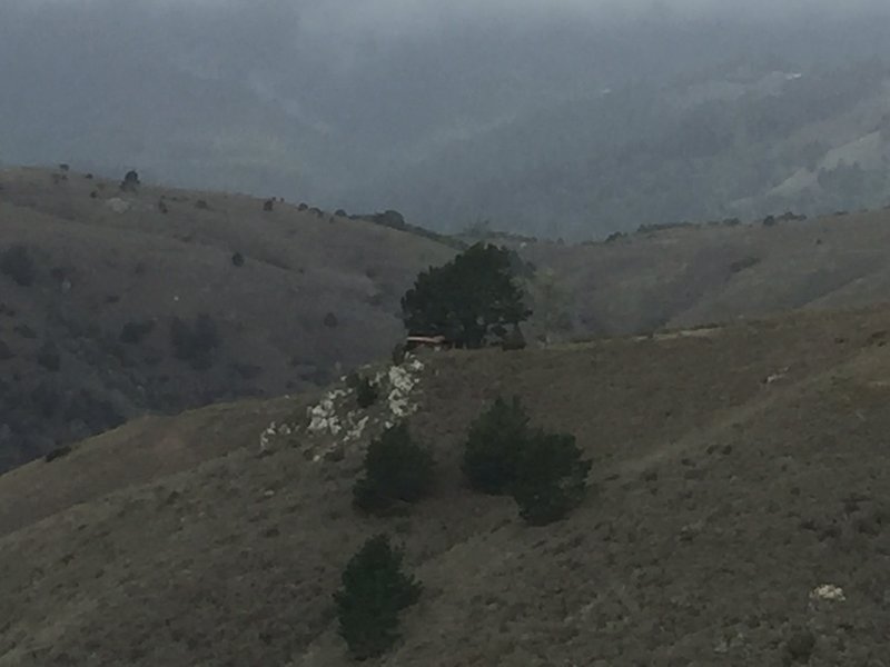 Looking to the east, find the "Hope Cottage" tucked into the trees.