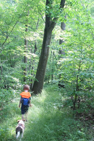 Eli and Joxer hiking along a portion of the Gerard Trail at Oil Creek State Park.