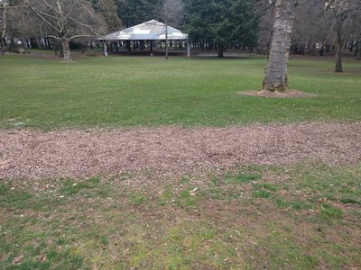 Southern side of the loop, with one of the two large fields contained in the loop in the middle ground. Gives a sense of the wood chip ground cover, though this is worn down from not being replaced most of the winter.