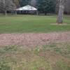 Southern side of the loop, with one of the two large fields contained in the loop in the middle ground. Gives a sense of the wood chip ground cover, though this is worn down from not being replaced most of the winter.