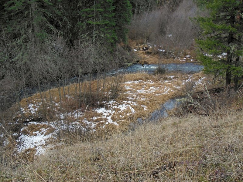 North Fork Asotin Creek.