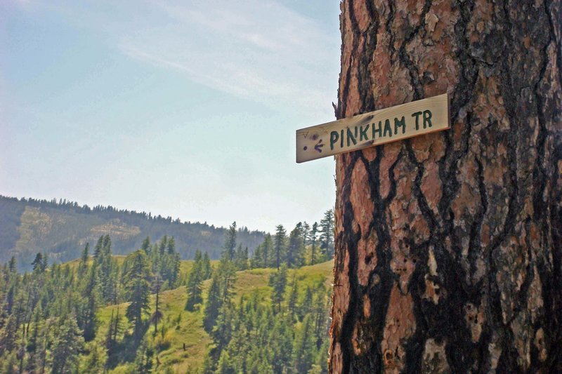 Sign high up on tree right before turning right on to North Pinkham Trail.