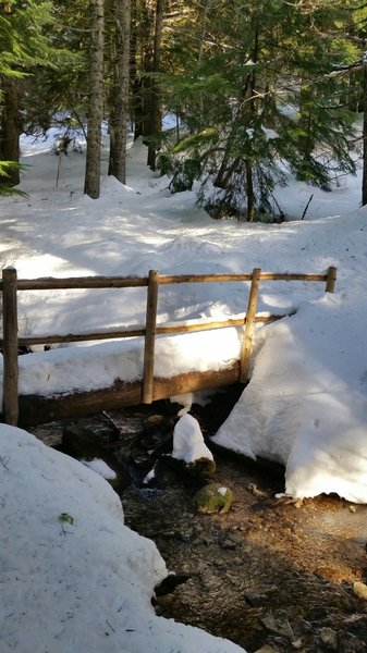 Bridge on Trail 100.