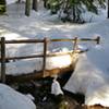 Bridge on Trail 100.