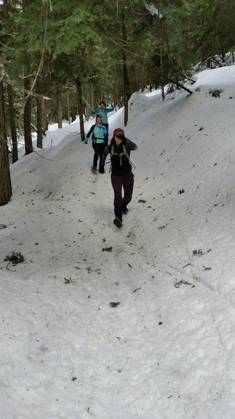 Snowshoeing on Trail 100.