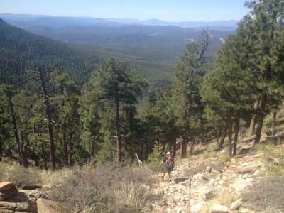 View of trail going down from Mogollon Rim.