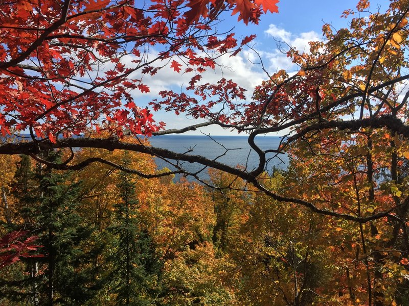 View from half way up the bluff.