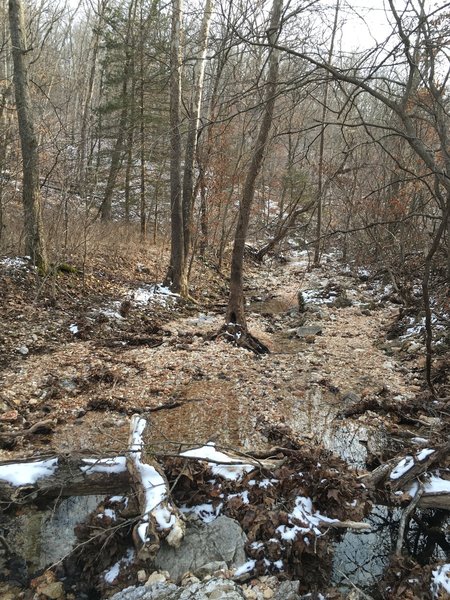 Melting snow along Turkey Pen Hollow Trail.