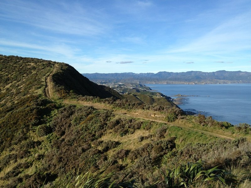 Looking back along the path, with the entrance to Wellington's harbor in the background.