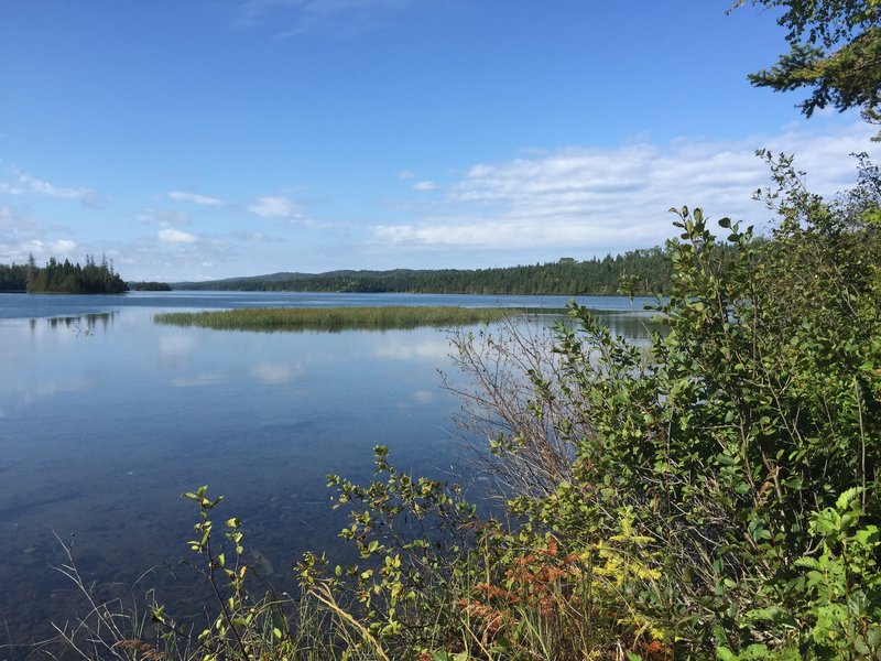 A view from the trail along Tobin Harbor.