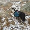 Ginger hiking op to Cathedral Pass