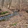 The first ravine along the Neal Thorpe Trail.