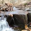 Neal Thorpe Trail - Gorge in January