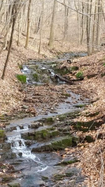 Hiking along the stream on Neal Thorpe Trail