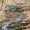 Hiking along the stream on Neal Thorpe Trail